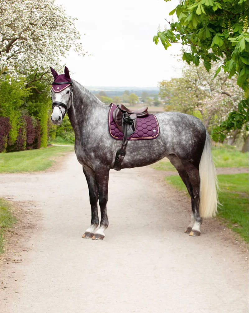 Coldstream Marygold GP Saddle Pad - Mulberry Purple-4